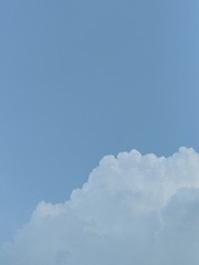 1000015596