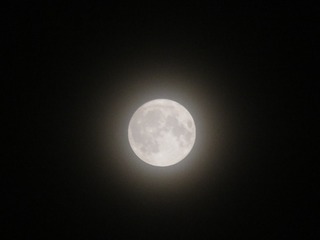 E4559D97-9EBD-4C42-881E-7344E11AB770/L0/001