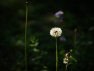 3FE6E6E9-3200-4670-9F56-044F3ED4C43D/L0/001