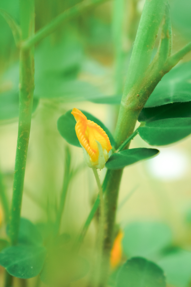 800_1200竖版 竖屏