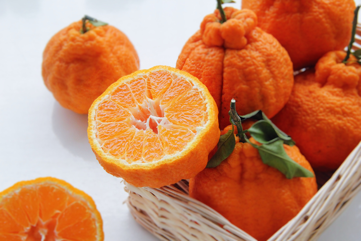 点赞是美德,打赏是鼓励打赏还没有人打赏,快来当第一个打赏的人吧