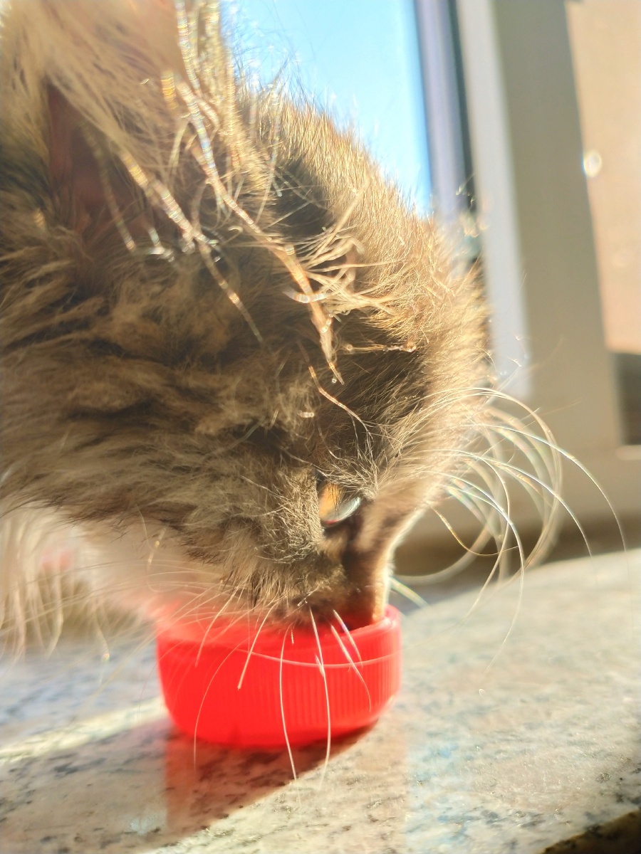 晶莹剔透的大眼睛 br /> 珍藏,勿随意使用,使用请联系