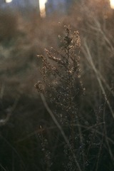 220516