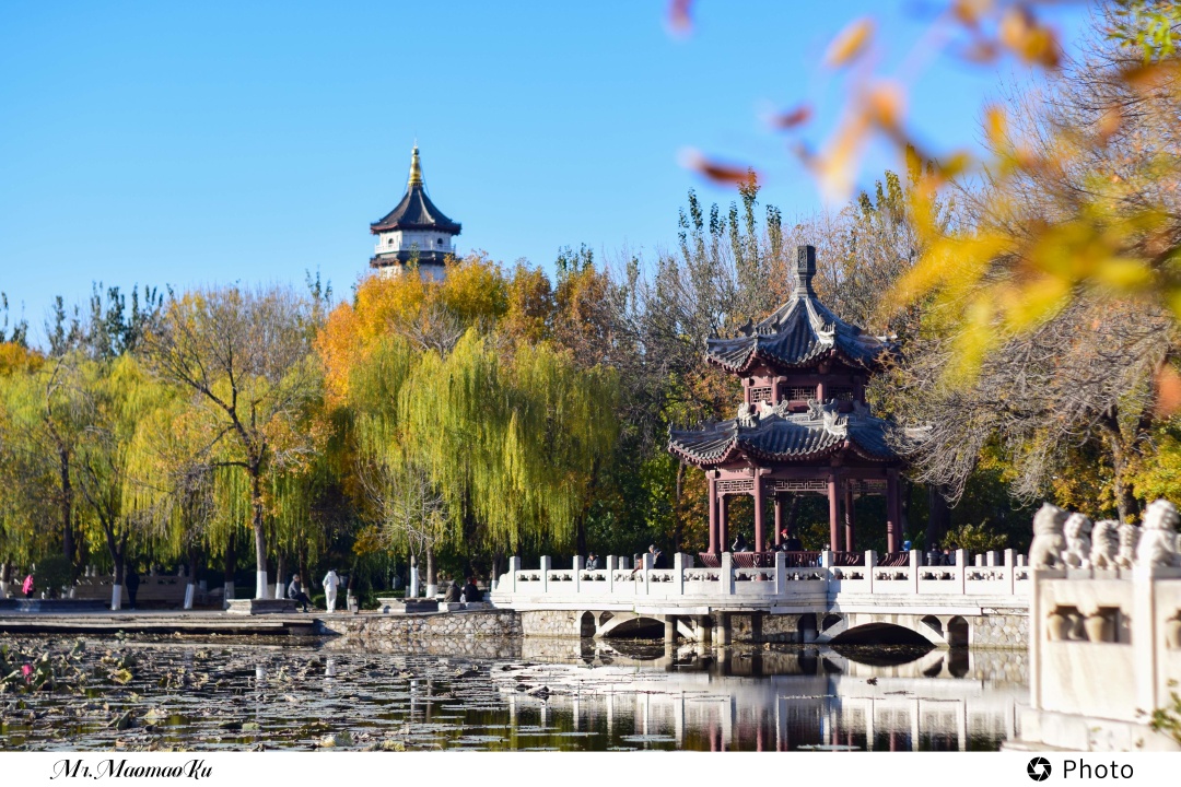 NIKON CORPORATION NIKON D3300  F2.8  50mm  1/2500s  ISO:200