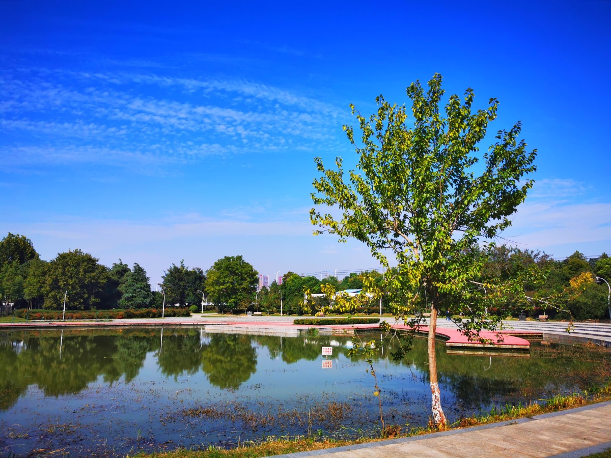 深秋时节的三角洲公园