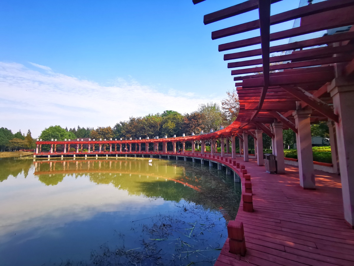 深秋时节的三角洲公园