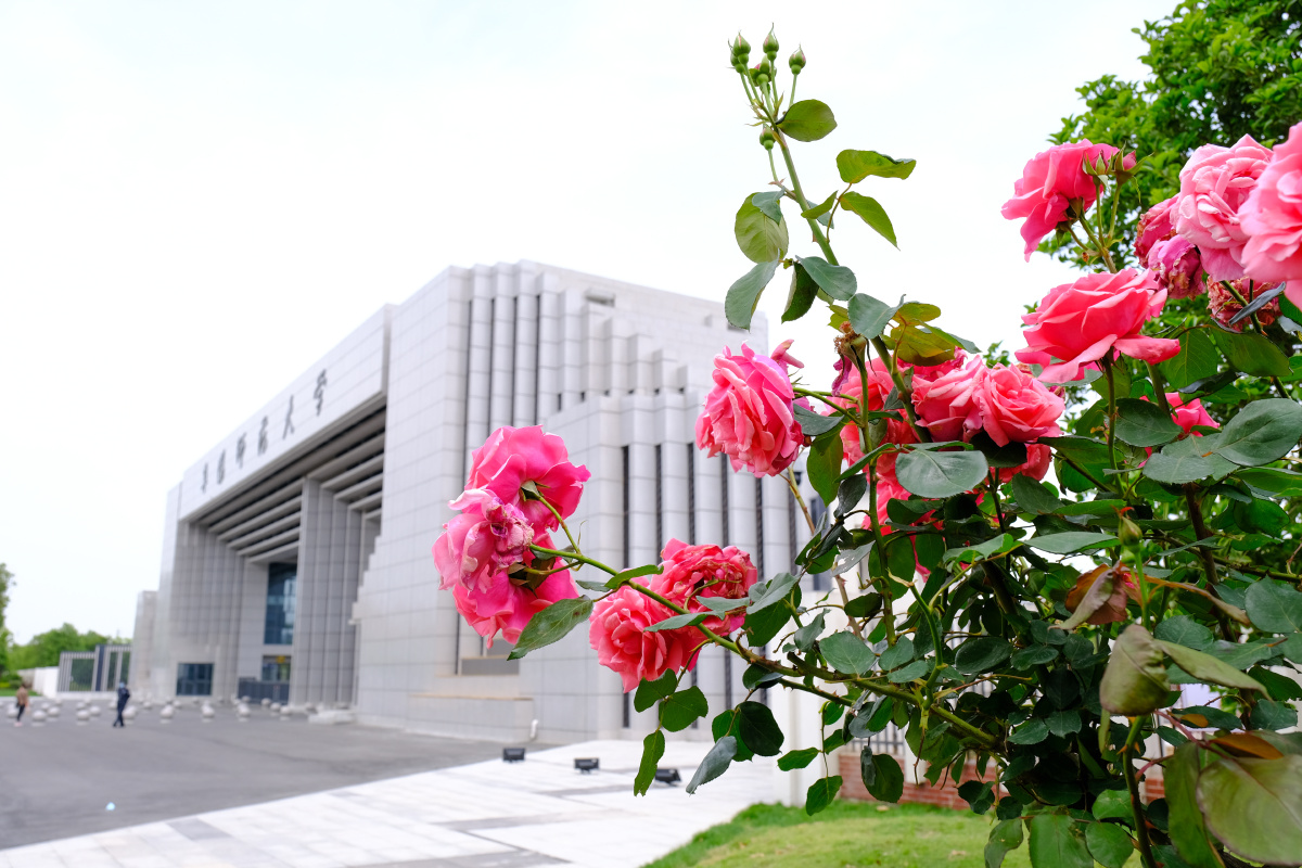 阜阳师范大学南门风景