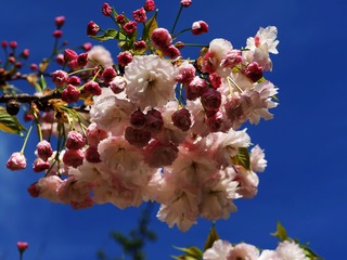 89CB4661-A419-49AB-9E1F-5690567F032A/L0/001