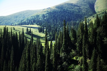 3A62F692-1790-43FC-997F-9F430B5A2405/L0/001