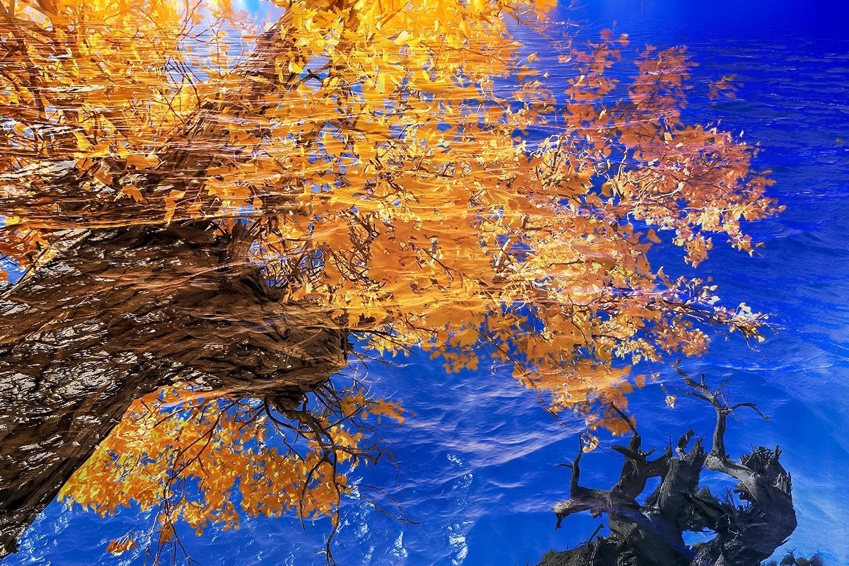 赏图∵全国风光摄影大赛,获奖作品欣赏∵东传媒分 - 浮云迷影 - 图虫