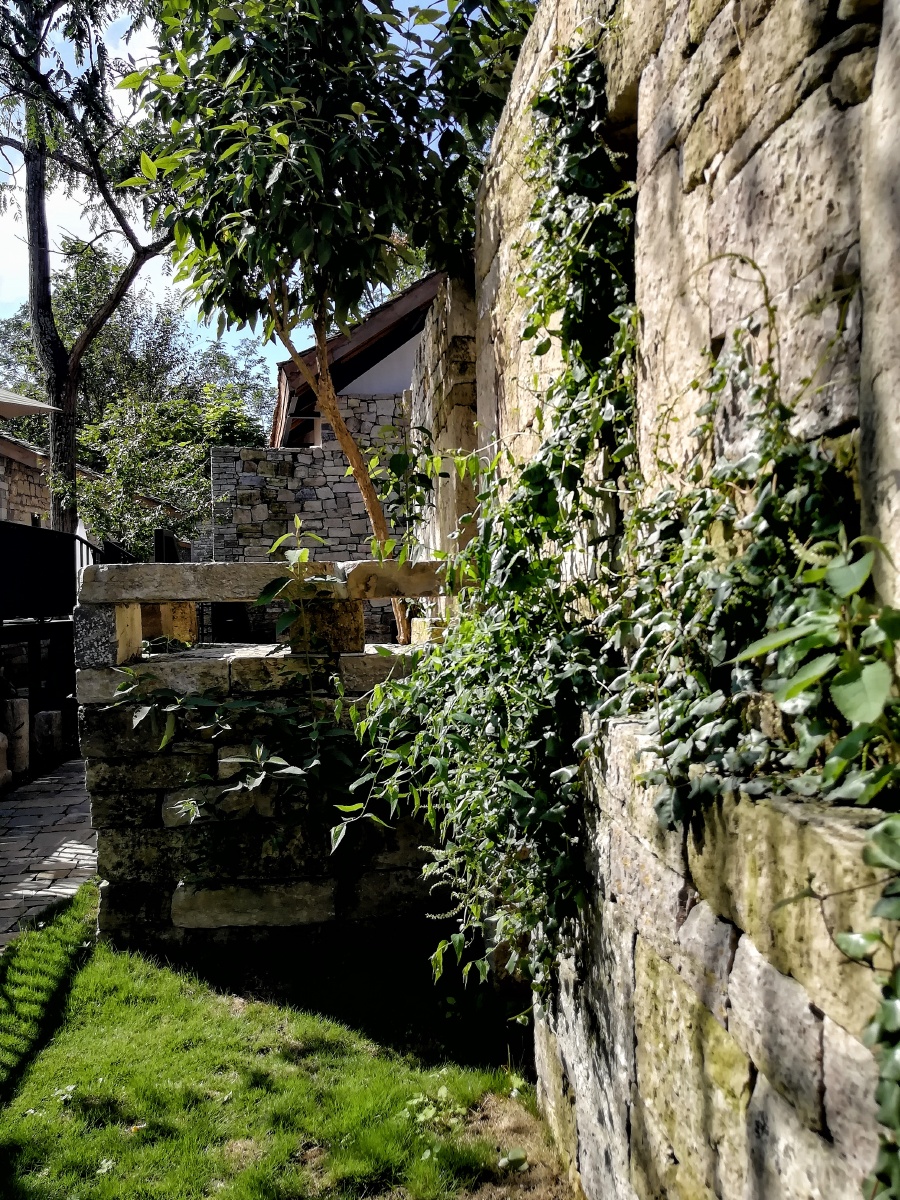 国庆期间终于有两天下午见到阳光带着妈妈去看看网红民宿匠庐村晓村晓