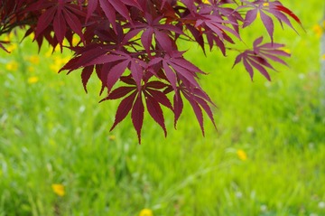 F3A560A2-5E9B-4810-A402-4546ABE45620/L0/001