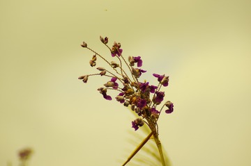 7D01A7E7-74C5-4087-ABE6-50B4C74F09A7/L0/001