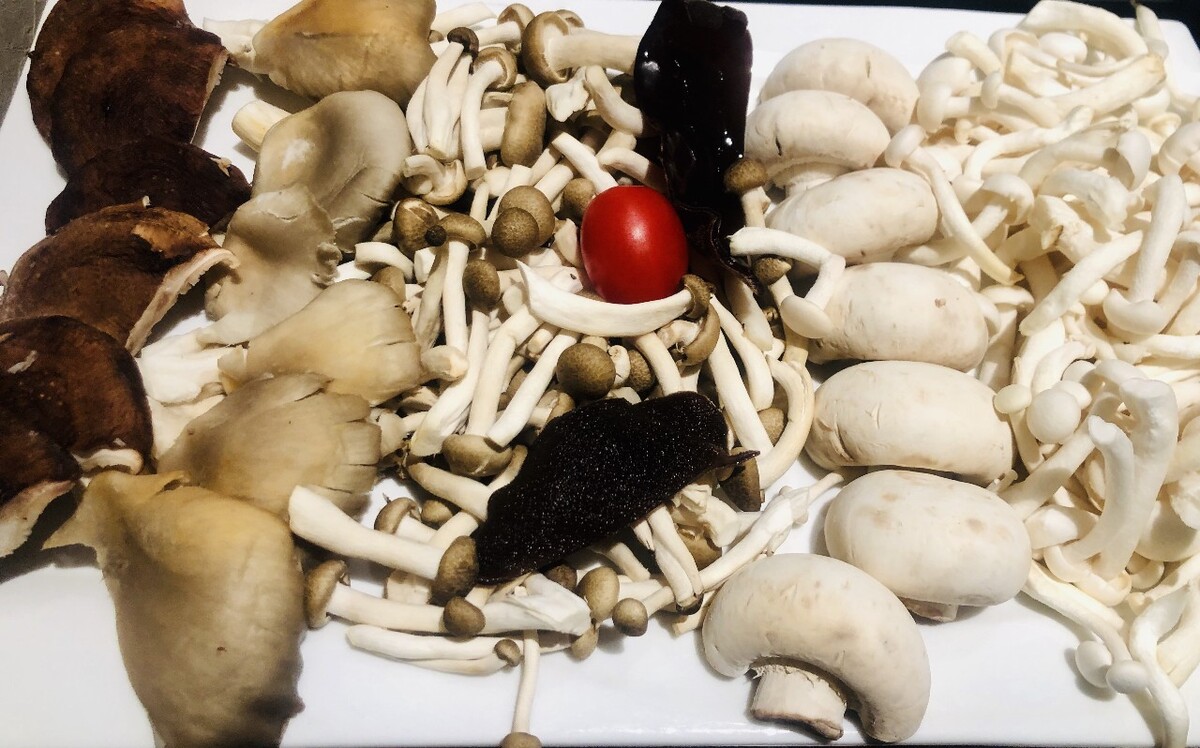 灵芝正确吃法与用量 灵芝孢子粉的正确吃法 灵芝正确吃法与用量 灵芝孢子粉的正确吃法