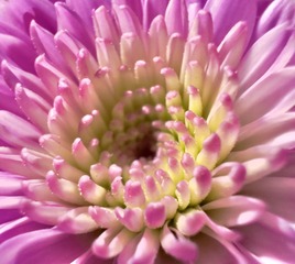 2B67E53B-27EB-47CA-B87F-51413FBB928D/L0/001