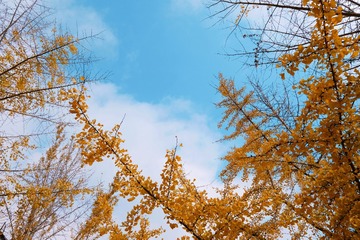 201175