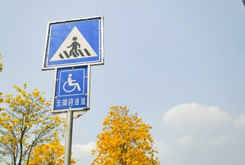 291617