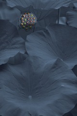 TXL_9054