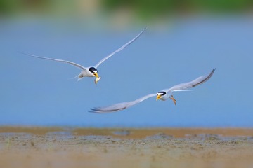 2012235