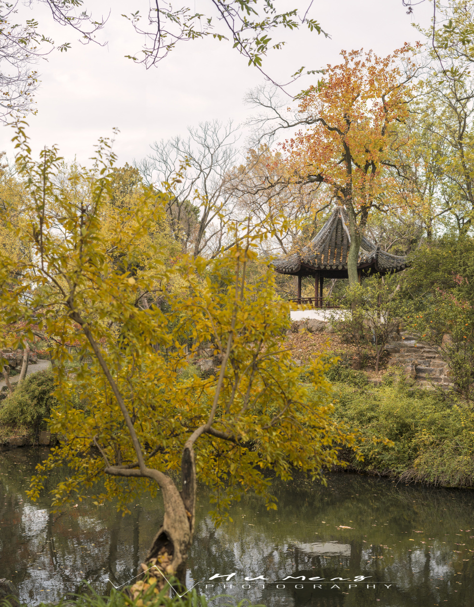 苏州拙政园冬季山色渐隐