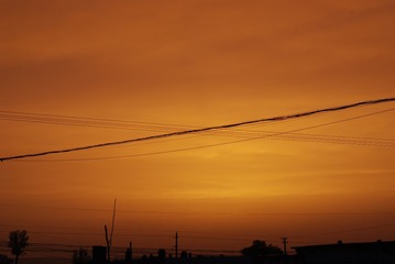 1769E41B-36D6-49F9-AF02-E217031E0A7F/L0/001