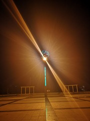 2615878