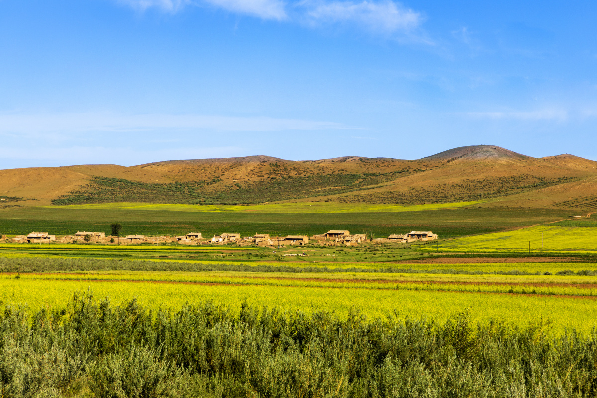 草原美丽的村落和田野