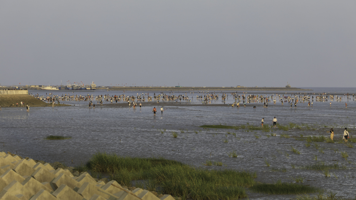 上海奉贤渔人码头滩涂上的嬉戏