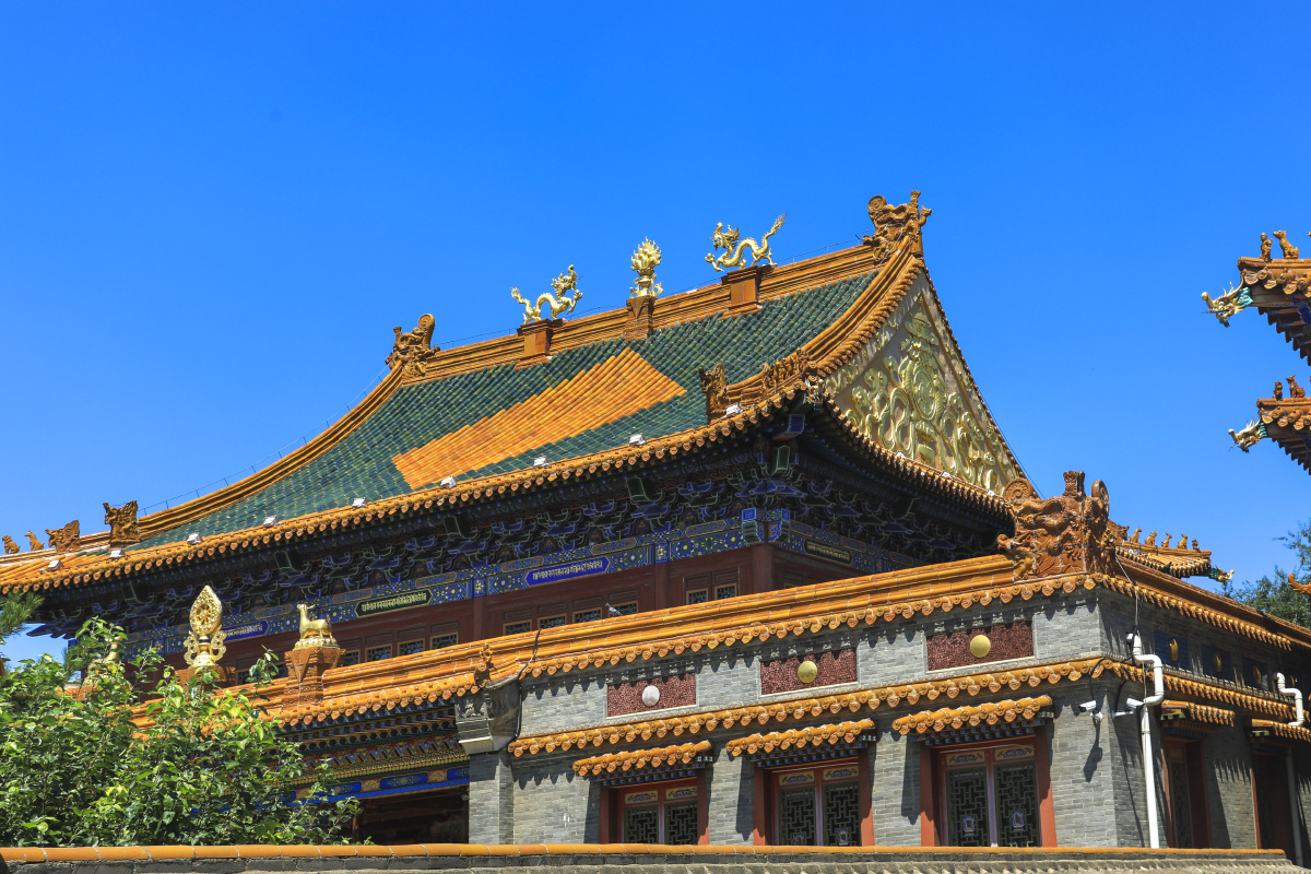 呼和浩特大召无量寺少见的屋脊飞龙