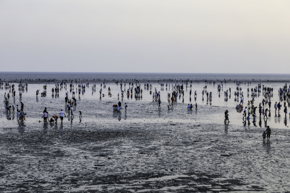 上海奉贤渔人码头滩涂上的嬉戏