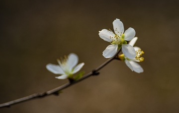20137