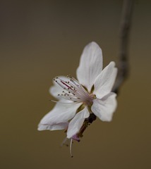 20144