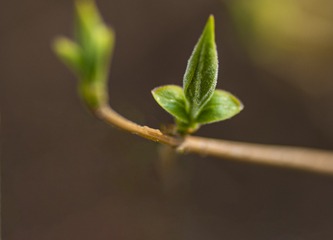 20127