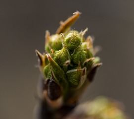 20132