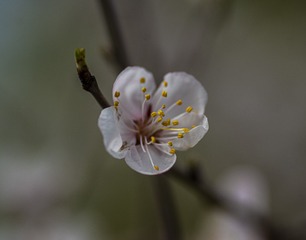 20118
