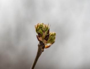 20131
