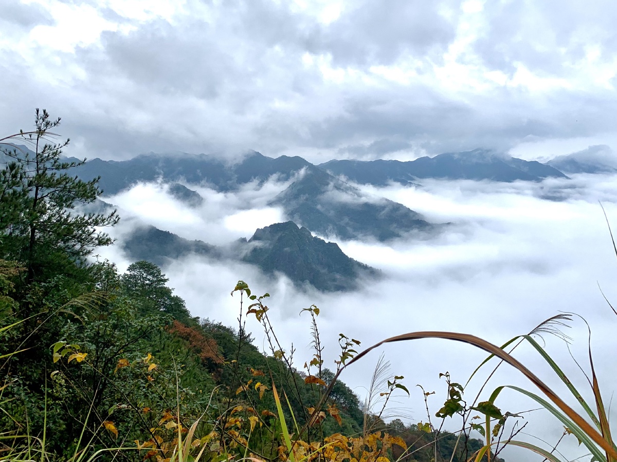 秋上井冈山登上黄洋界领略先辈百年历程