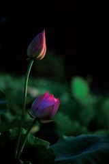 898A1E29-6753-4CCA-90FA-72BF905DDD92/L0/001
