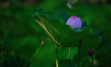 C5028C8F-0F66-46E8-9CD8-38C33741953B/L0/001