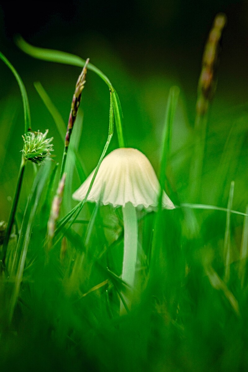 800_1200竖版 竖屏