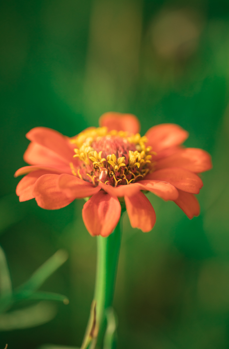 787_1200竖版 竖屏