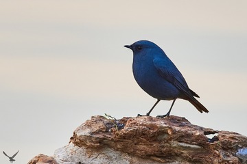 172177