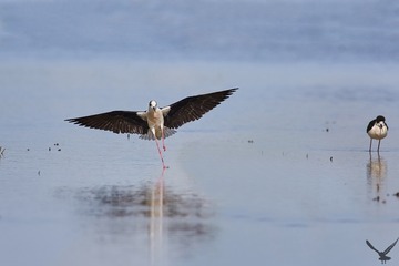 162632