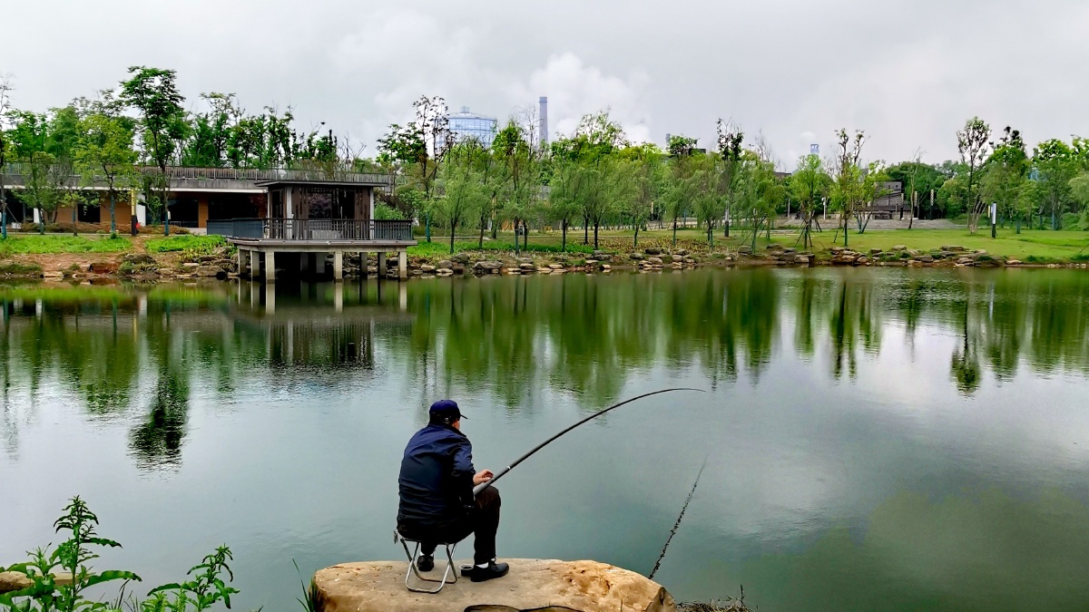 池塘风水静独坐钓鱼台