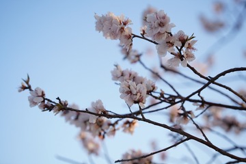 EE84A0FF-8BBA-4E79-AB92-B9B018527EA1/L0/001