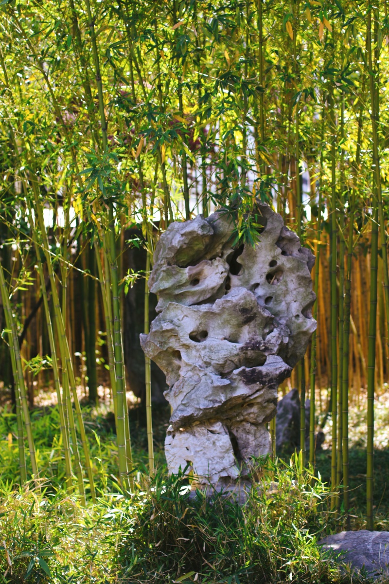 板桥故里竹和石