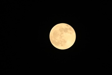 程方义 004