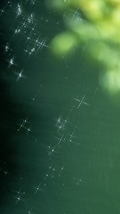 1F4BE7E1-5EF9-442C-8F0C-2AAAB86672C5/L0/001