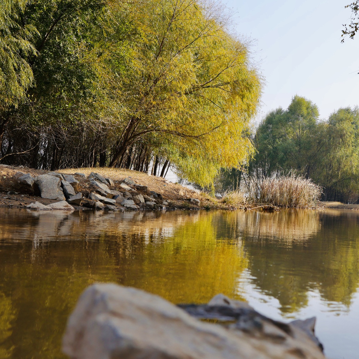 包头赛汗塔拉公园的秋色