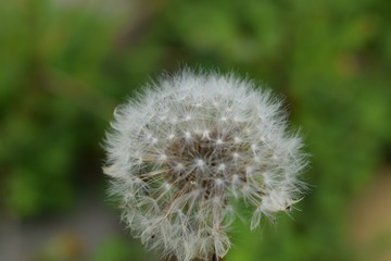 1206536